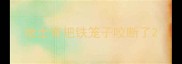 哈士奇把铁笼子咬断了