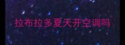 拉布拉多夏天开空调吗