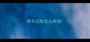 陨石边牧怎么挑选
