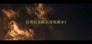 拉布拉多鼻尖凉有鼻水