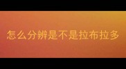 怎么分辨是不是拉布拉多