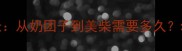 博美犬成长全记录从奶团子到美柴需要多久幼宠饲养避坑指南