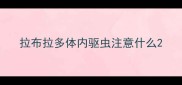拉布拉多体内驱虫注意什么