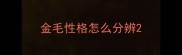 金毛性格怎么分辨