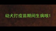 幼犬打疫苗期间生病咳