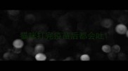 猫咪打完疫苗后都会吐