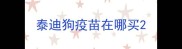 泰迪狗疫苗在哪买