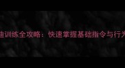 三个月泰迪训练全攻略快速掌握基础指令与行为矫正技巧