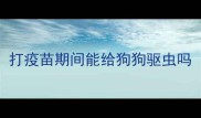 打疫苗期间能给狗狗驱虫吗