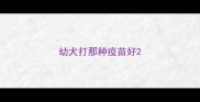 幼犬打那种疫苗好