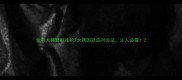 金毛犬频繁呕吐的7大诱因及应对方法主人必看