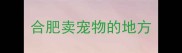 合肥卖宠物的地方