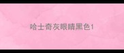 哈士奇灰眼睛黑色