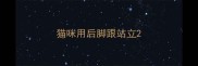猫咪用后脚跟站立