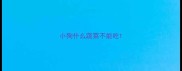 小狗什么蔬菜不能吃