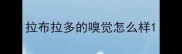 拉布拉多的嗅觉怎么样