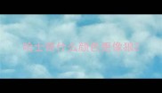 哈士奇什么颜色更像狼