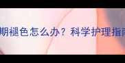 拉布拉多换毛期褪色怎么办科学护理指南及常见误区