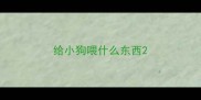 给小狗喂什么东西
