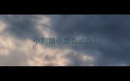 小狗细小怎么止泻