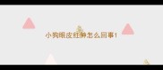 小狗眼皮红肿怎么回事