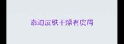 泰迪皮肤干燥有皮屑