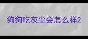 狗狗吃灰尘会怎么样