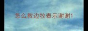 怎么教边牧表示谢谢