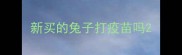 新买的兔子打疫苗吗