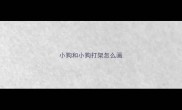 小狗和小狗打架怎么画