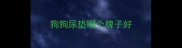 狗狗尿垫哪个牌子好