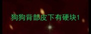 狗狗背部皮下有硬块