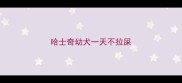 哈士奇幼犬一天不拉屎