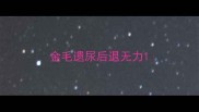 金毛遗尿后退无力