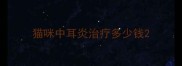 猫咪中耳炎治疗多少钱