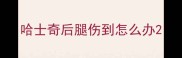 哈士奇后腿伤到怎么办
