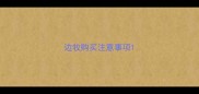 边牧购买注意事项