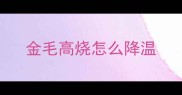 金毛高烧怎么降温