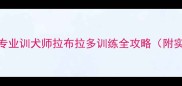 5大黄金法则专业训犬师拉布拉多训练全攻略附实操步骤图解