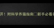 养猫利弊大公开附科学养猫指南新手必看养宠避坑手册