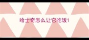 哈士奇怎么让它吃饭