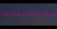 宠物被咬后多年未打狂犬疫苗的严重后果及补救指南