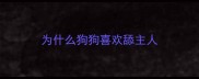 为什么狗狗喜欢舔主人