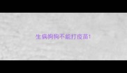生病狗狗不能打疫苗