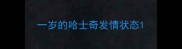 一岁的哈士奇发情状态