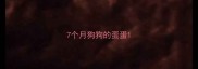 7个月狗狗的蛋蛋