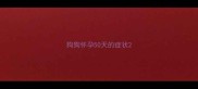 狗狗怀孕50天的症状