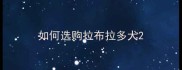 如何选购拉布拉多犬