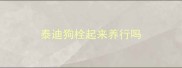 泰迪狗栓起来养行吗