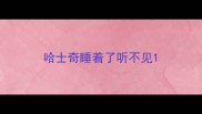 哈士奇睡着了听不见
